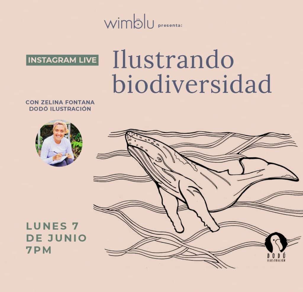 ilustrando-biodiversidad