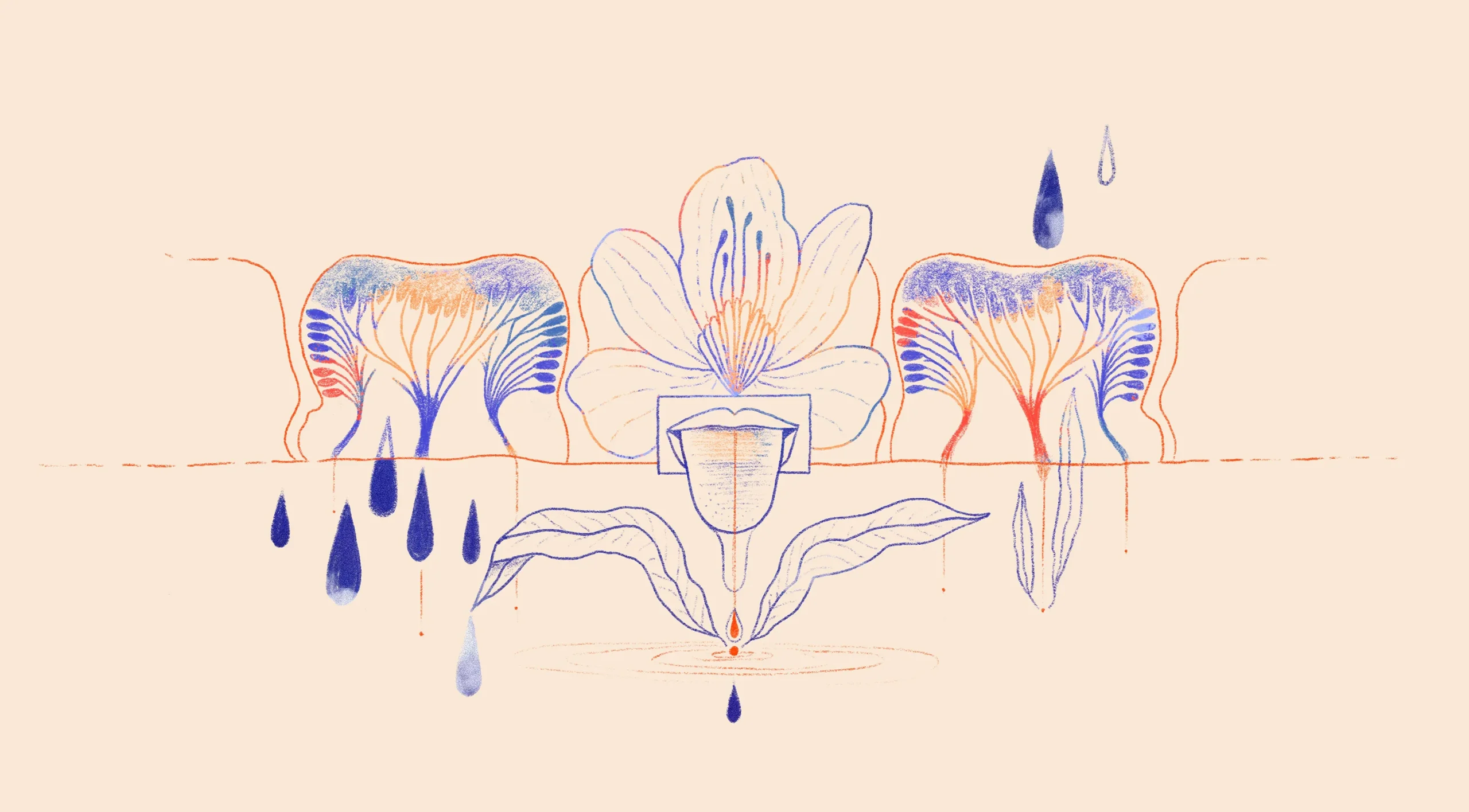 Ilustración de una lengua sobre una flor sobre unos dientes y unas gotas de agua cayendo