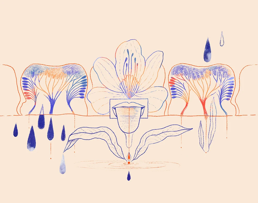 Ilustración de una lengua sobre una flor sobre unos dientes y unas gotas de agua cayendo